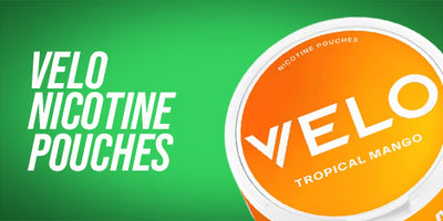 Velo Nicotine Pouches packaging with 'Tropical Mango' flavor on a green background