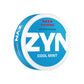 Zyn Slim Cool Mint X Strong