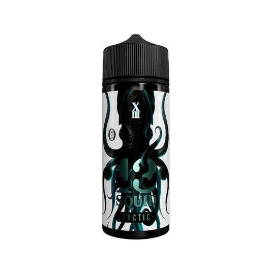 13 Squid Arctic 100ml E-Liquid