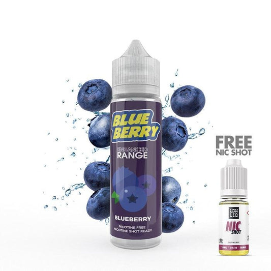 UK ECIG STORE - Blueberry High VG 50ml Short Fill E-Liquid